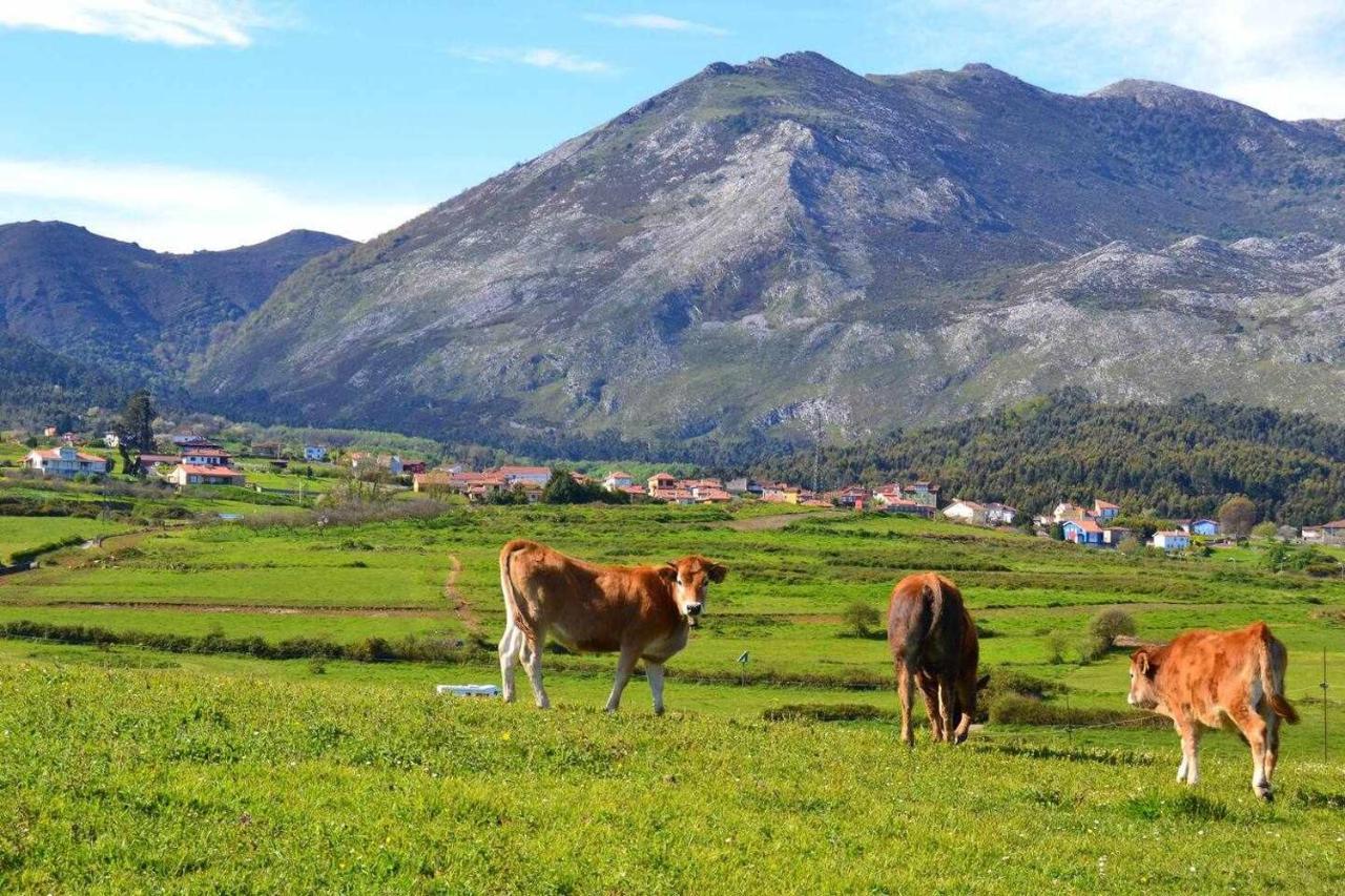 Onís Rincon Con Piscina En Picos De Europa 아파트 외부 사진